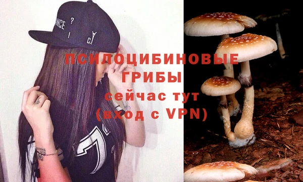 винт Армянск