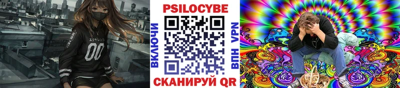где купить   Аша  Галлюциногенные грибы мицелий 