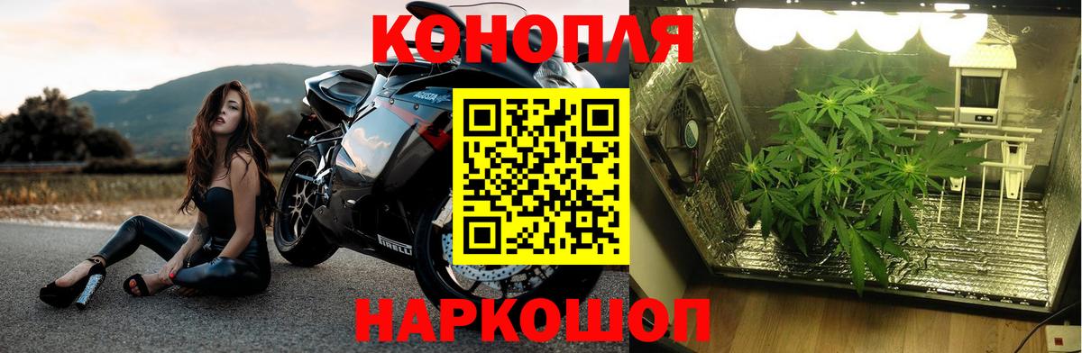 Канабис VHQ Аша