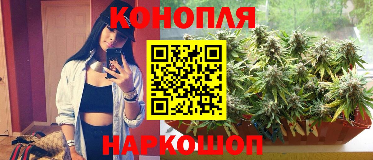 Бошки марихуана тримм  Шишки марихуана тримм  Бошки Шишки VHQ  Вход с VPN  Аша  Конопля THC 21% 